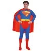 Everything Party Adult Superhero Superman Costume