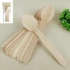 Everything Party 12pk Wooden Eco Spoons