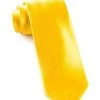 Everything Party Skinny Party Necktie - Golden Yellow By Theme