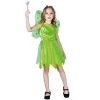 Everything Party Kids - Green Fairy Costume