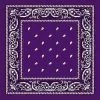 JD Party School Book Week Costume Purple Assorted Bandana