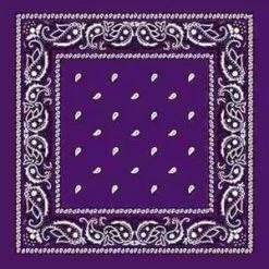 JD Party School Book Week Costume Purple Assorted Bandana