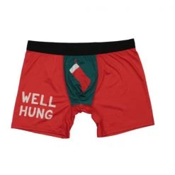 Everything Party Frankly Funny Christmas Mens Funny Briefs Boxer Shorts - Well Hung