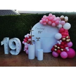Everything Party Balloons 19th Birthday Balloon Garland On 2m Circle Backdrop With LED Number Lights