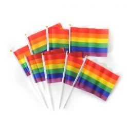 JD Party By Event 8pcs Rainbow Flag With Stick