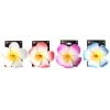 JD Party Assorted Hawaii Frangipani Hair Clip By Theme