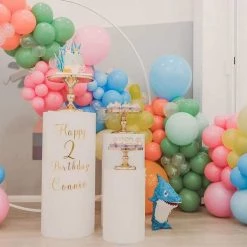 Everything Party Under The Sea Theme Balloon Wall And Balloon Garland Set Balloons