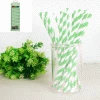 Everything Party 20pk Paper Straws - Pastel Green