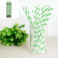 Everything Party 20pk Paper Straws - Pastel Green