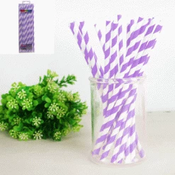 Everything Party 20pk Paper Straws - Lavender