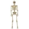 Trademark Halloween Life Size Hanging Skeleton Decoration By Event