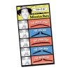 Everything Party Pencil Thin Moustaches Set