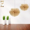 Everything Party All Birthday 2pk Nature Decorative Puff Balls