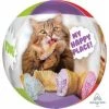 Everything Party Balloons 16" Anagram Avanti Cat Orbz Balloon