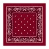 Everything Party Dark Red Assorted Bandana