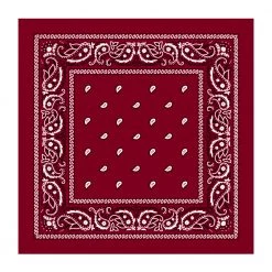 Everything Party Dark Red Assorted Bandana