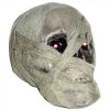 Everything Party Mummified Light Up Skull Head Prop