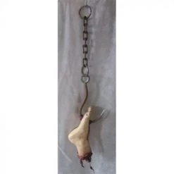 Everything Party Severed Foot On Hook