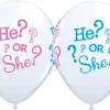 Everything Party Balloons 11" Qualatex He Or She Latex Balloon