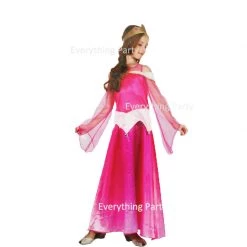 Everything Party Kids - Sleeping Beauty Costume
