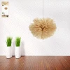 Everything Party All Birthday 50cm Nature Decorative Puff Ball