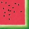 Everything Party 16pk Watermelon Napkins