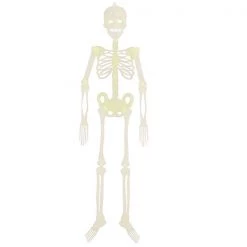 Everything Party 3 Pk 32cm Hanging Skeleton - Glow In The Dark By Event