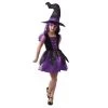 Everything Party Halloween - Girls Deluxe Purple Witch Costume