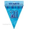 Unique 21st Birthday Flag Banner (Blue, Pink, Black)