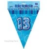 Unique All Birthday 13th Birthday Flag Banner (Blue, Pink, Black)
