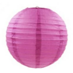 Everything Party 30cm Plain Paper Lantern - Purple All Birthday