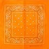 JD Party Orange Assorted Bandana