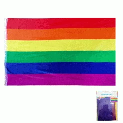Everything Party Rainbow Flag 60*90cm