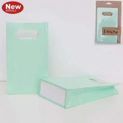 Everything Party All Birthday 6pk Neon Mint Party Lolly Bags