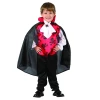 Everything Party Halloween - Toddler Vampire Boy Costume