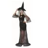 Trademart Adult - Halloween Deluxe Sexy Witch Costume