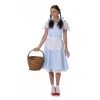 Everything Party Adult - Karnival Deluxe Fairytale Dorothy Costume