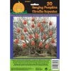 Everything Party By Event 20pk Hanging Pumpkin Bags