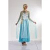 Everything Party Adult - Deluxe Ice Princess Costume