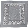 Everything Party Grey Assorted Bandana