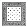 Everything Party White Assorted Bandana By Theme