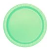 Everything Party 20pk Paper Plates - Mint