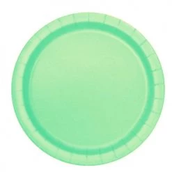 Everything Party 20pk Paper Plates - Mint