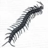 Everything Party By Event Halloween Creature - 6pk Centipedes