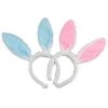 Everything Party School Book Week Costume Easter Bunny Ears Plush Headband