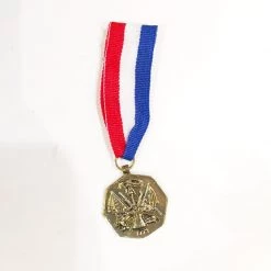 Everything Party Combat Hero Medal