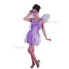 Everything Party Adult - Sweet Fairy Costume