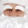 Tomfoolery Dr Toms Santa Claus White Eye Brows