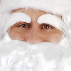 Tomfoolery Dr Toms Santa Claus White Eye Brows