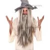 Forum Wig - Dr Tom's Deluxe Wizard Wig & Beard Grey